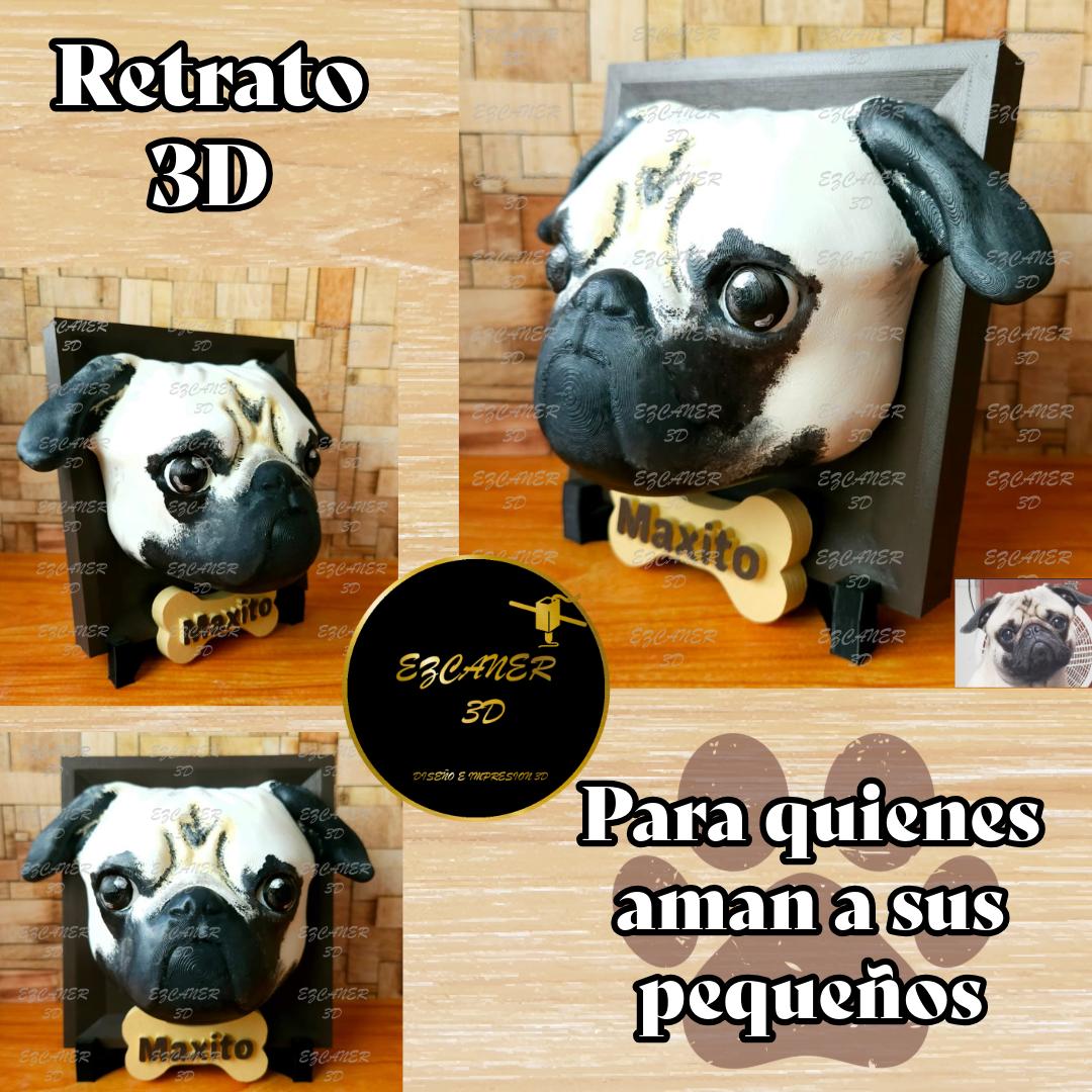 Retrato 3D
