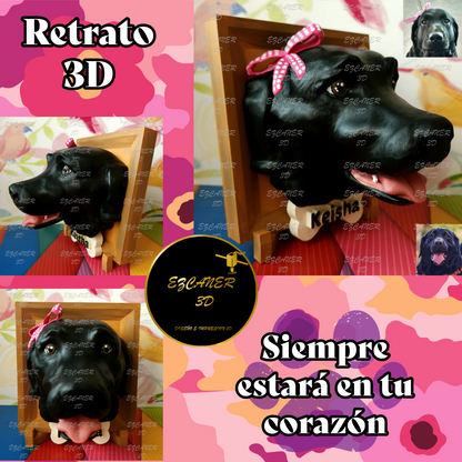 Retrato 3D
