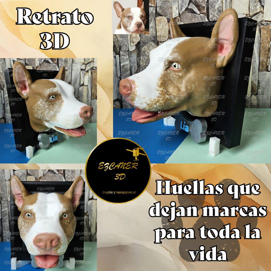 Retrato 3D