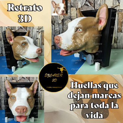 Retrato 3D