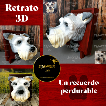 Retrato 3D